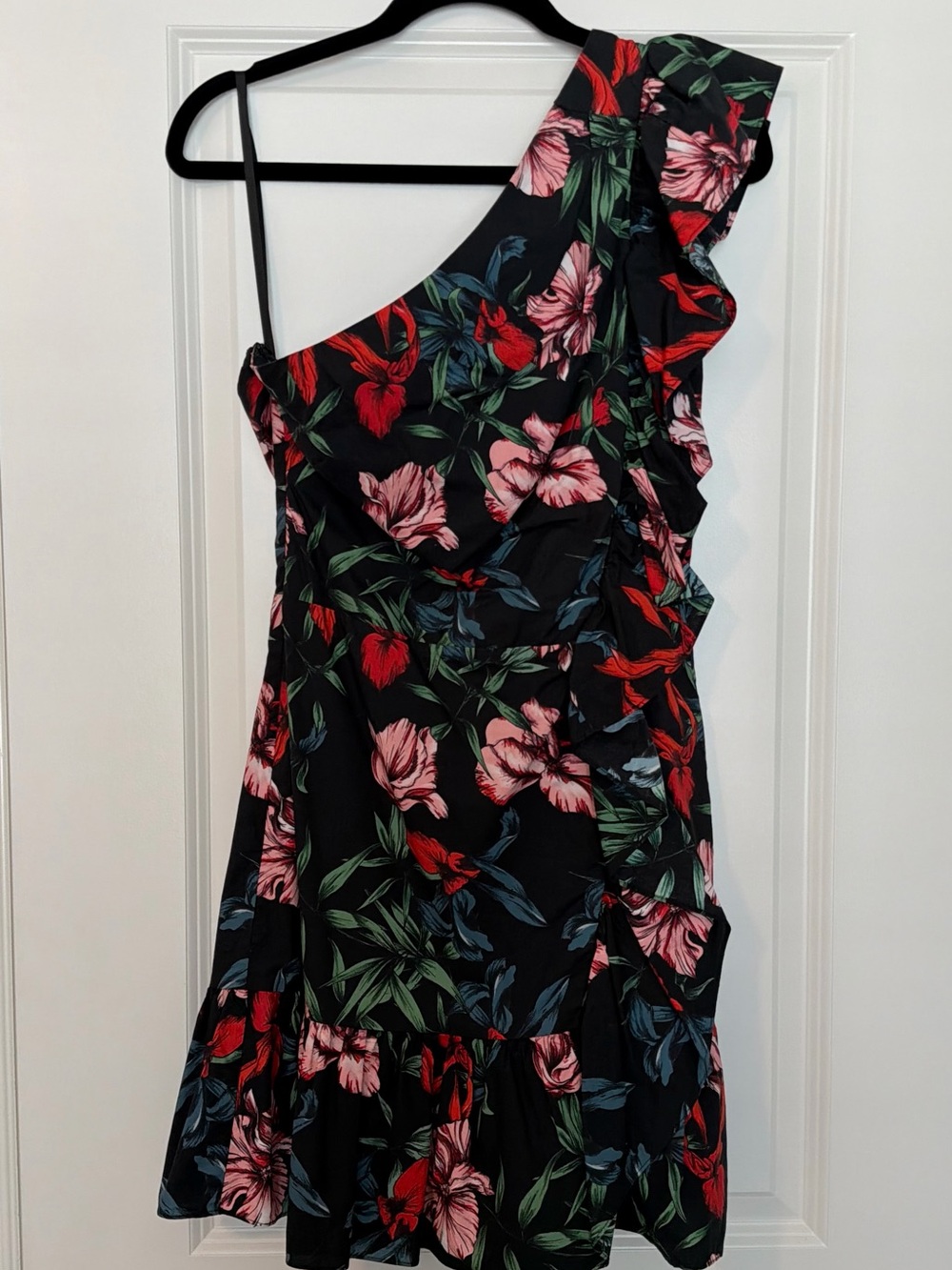 Revolve One-Shoulder Dress with Red & Pink Floral